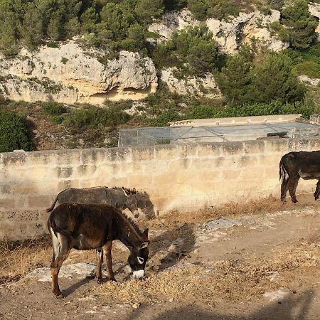 Villino Odaldo Mottola Dış mekan fotoğraf