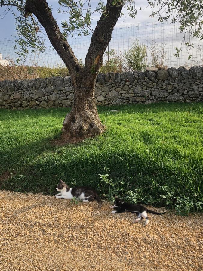 Villino Odaldo Mottola Dış mekan fotoğraf