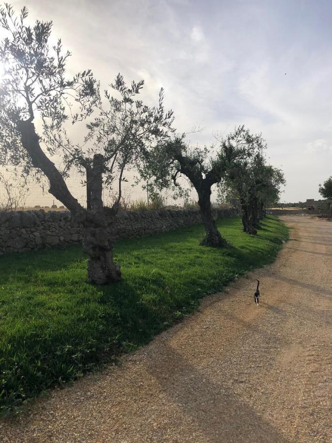 Villino Odaldo Mottola Dış mekan fotoğraf