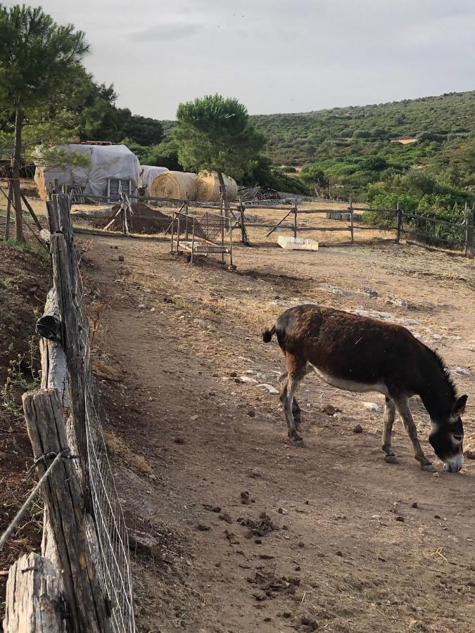 Villino Odaldo Mottola Dış mekan fotoğraf