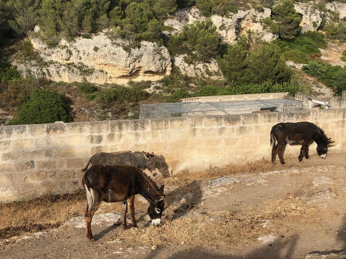 Villino Odaldo Mottola Dış mekan fotoğraf