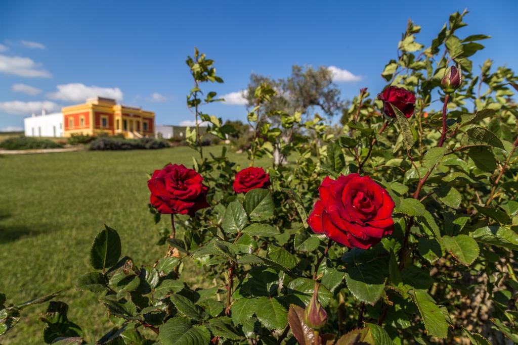 Villino Odaldo Mottola Dış mekan fotoğraf